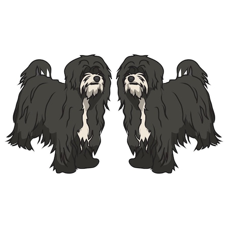 Signmission Tibetan Terrier Dog Decal, Dog Lover Decor Vinyl Sticker D-24-Tibetan Terrier